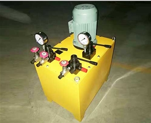 淄博非标电动泵生产