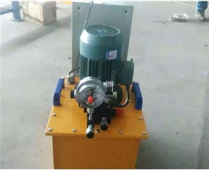 淄博标准电动泵供应生产